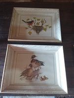 Front view showing both framed bird prints