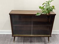Front view of cabinet showing wood veneer finish, sliding glass doors, interior shelf, brass-capped tapered legs and potted plant for scale