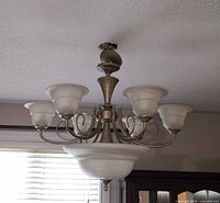 Chandelier unlit showing satin nickel frame and seven frosted shades