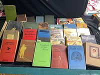 Group image showing all 28 vintage hardcover books laid flat