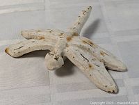 Full view of cast iron dragonfly figurine on tabletop