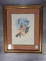 Front view of framed Audubon hummingbird print