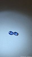 Pair of blue sapphires on neutral background