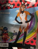 Retail packaging image showing Rena Rouge costume contents list and character graphic
