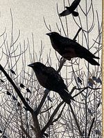 Detail of crows and stitching texture