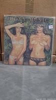 Front cover of Roxy Music Country Life LP in plastic sleeve