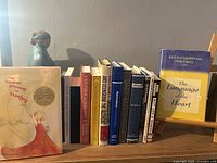 Front view of all recovery books lined on shelf including Language of the Heart on stand and Higher Power of Lucky cover visible