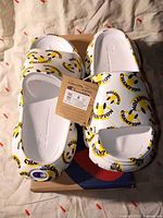 Top view of both Champion slide sandals showing logo print, size tag, and box