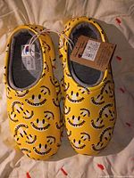 Top view of both shoes showing size tag, pattern, and attached Champion retail tag