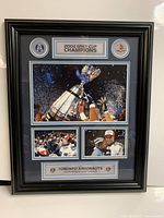 Front view of framed Grey Cup Champions print showing overall design