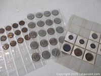 Coins in plastic pages and flips showing various commemorative and penny coins