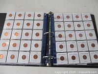 Open binder showing two full pages of carded Canadian pennies