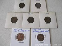 Front view of seven Indian Head cents in flips