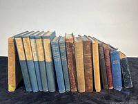 Group shot of all sixteen hardcover books standing upright, spines visible