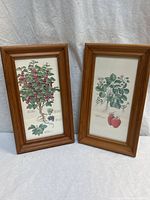 Both framed botanical prints front view
