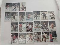 all 22 O-Pee-Chee glossy cards laid out