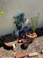 Overall view of planters, watering can, plants and decor against wall
