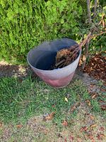 Planter with dead plant remnants and debris