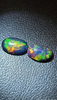 Pair of oval black opals showing intense multi-colour fire