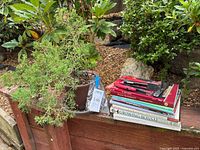 Full lot with bonsai plant, books stack and tools
