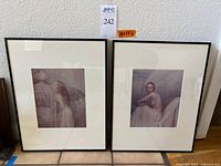 Front view of both framed prints showing images, mats and frames