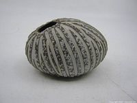 Top angled view of spherical vase showing mouth opening and ribbed design