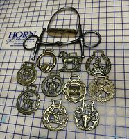 metal curb bit and ten assorted brass horse brasses laid on grid mat