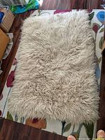 Full view of shaggy off-white wool rug on floor