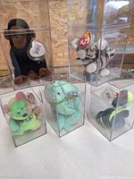 All five Beanie Babies inside clear cases