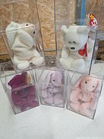 All five Beanie Babies in clear cases