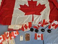 Overview showing large nylon flag, desk flags, paper flags, container of lapel pins