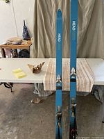 Full view of both skis standing upright showing HEAD 360 branding, bindings and tip profile
