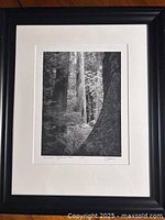 Framed photograph overall view