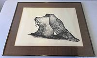 Framed owl ink drawing front view