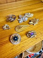 All eight brooches arranged on wooden surface