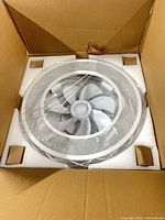Fan light in packaging showing blades and grille