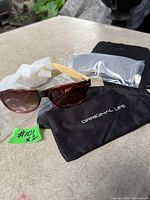 Sunglasses pair with pouch and cloth visible