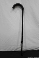 Full view of black adjustable cane