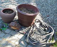 Two brown ceramic planters, ceramic frog, hose visible