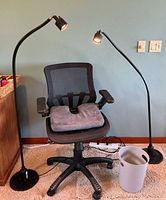 Full view of chair, two Sunnex lamps, seat cushion, waste basket, power strip
