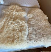 Two sheepskin rugs side by side showing pile