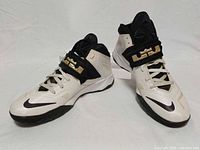 Pair of Nike LeBron James sneakers side view showing overall condition