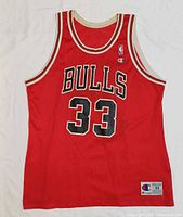 Full front view of red Bulls #33 Champion jersey