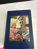 Front cover showing blue cloth and color illustration