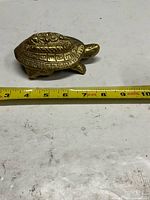 Top view of brass turtle next to measuring tape showing length