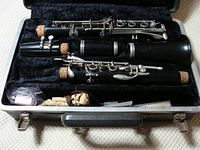 Clarinet disassembled in fitted case showing body sections and keys