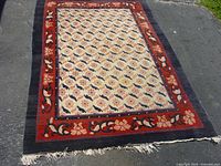 Full view of carpet showing pattern, borders, and fringe