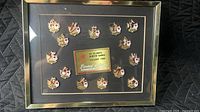 Front view of framed pin set showing all 16 pins and central plaque
