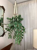 Full view of artificial plant hanging in macrame holder