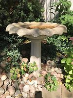 Full view of concrete bird bath in garden setting